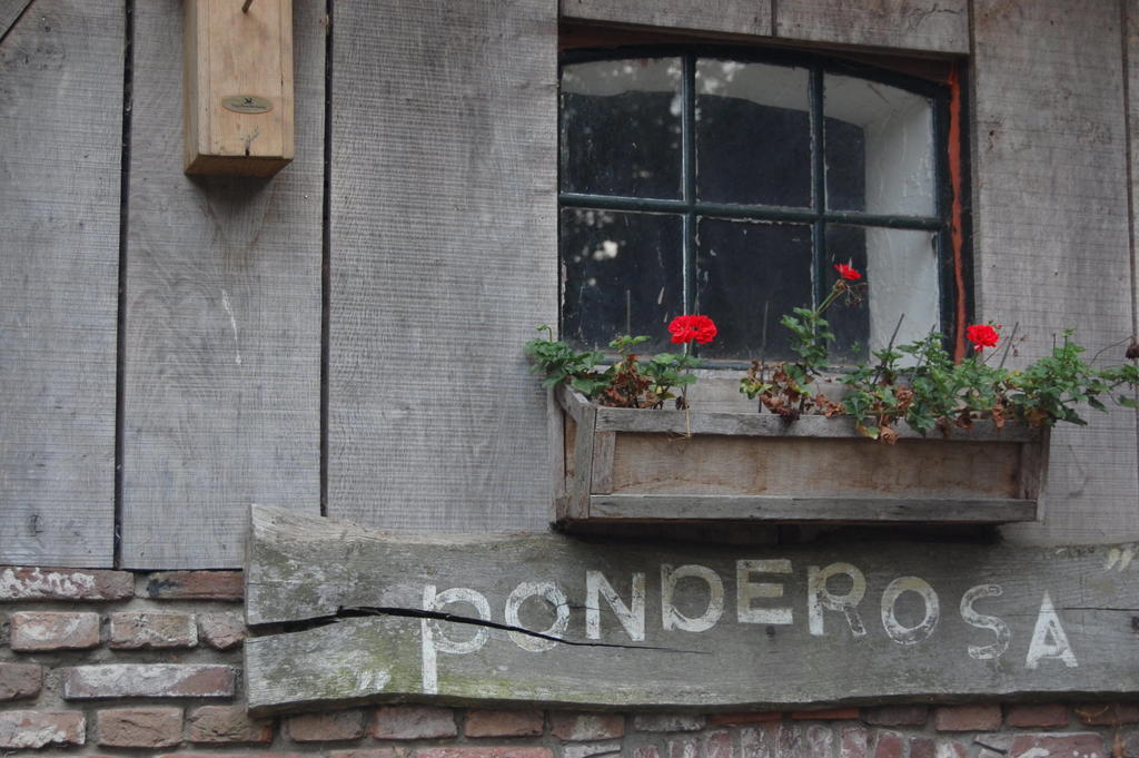 B&B Onze Deel Hijken Exteriör bild